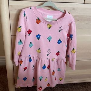 Hanna Andersson dress